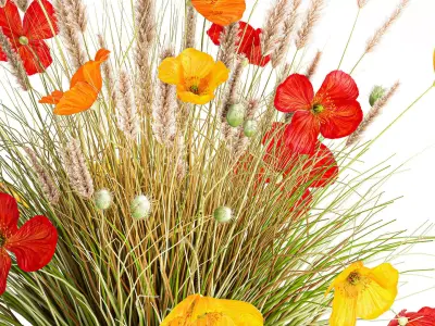 Beautiful Bouquet Red Yellow Wild Flowers Poppy grass vase 3D model