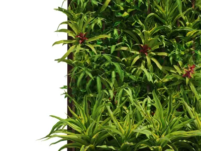 Decoration greenwall fitowall with plant box Low-poly 3D model