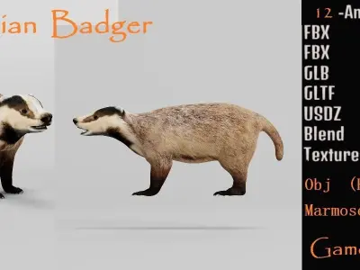 European Badger Low-poly 3D model