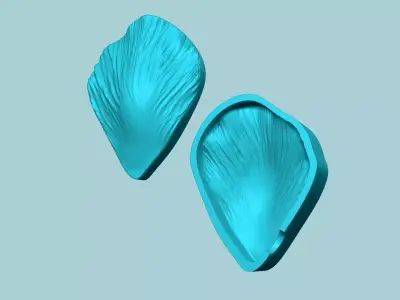 Tulip Flower Petal 02 - Moulding Artificial Craft 3D print model