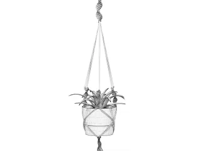 Plant in White Hanging Pot 3D Model 3D model