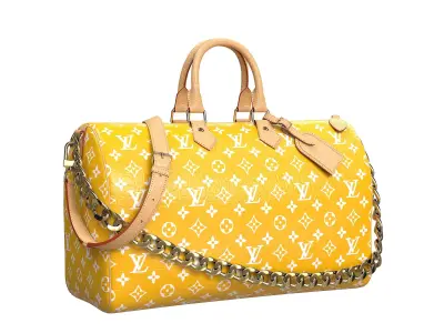 Louis Vuitton Pharrell Williams Millionaire Speedy Bag Low-poly 3D model