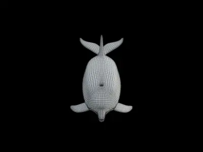 dolphin long-beaked 3D model