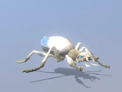 Gray Beetle Bug Running Fbx Png 3D model