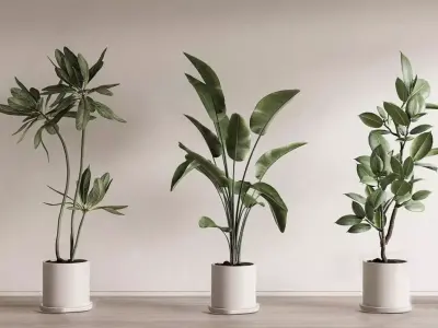 Modern Potted Green Plant Collection 3D Model 3D model