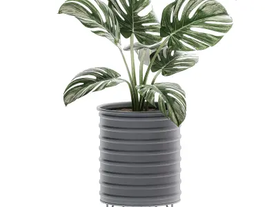  Decorative plants in pots on a stand for the interior 529 3D model