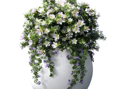 Flowerbeds Petunia flowers in classic garden pots 3D model