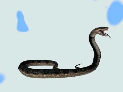 SNAKE 3D model