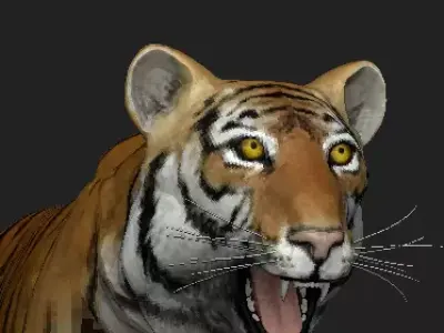 Tiger 3D model