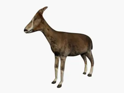 Low poly goat 3D model