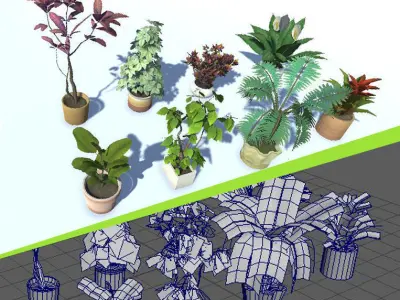 Indoor Potted Plant Lowpoly Low-poly 3D model