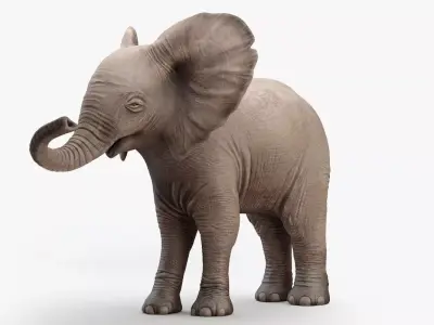 Animated Elephant  baby 8K Low-poly 3D model