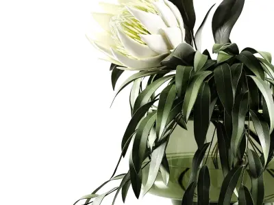 in the willow 3D model