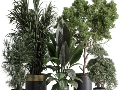 indoor plant 557 pot plant tree metal and marble dirt vase 3D model