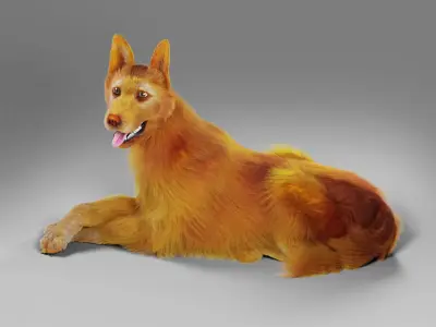 Fur Red Dog Rigged in Blender  Low-poly 3D model