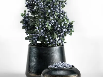 blueberry tree in Pots and bowl with berries 3D model