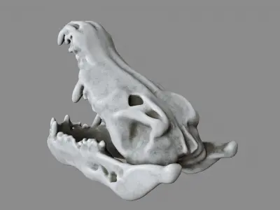 Crocodile Skull Decoration 3D model