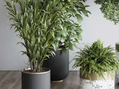 Indoor plant set 363 stone vase plant tree shrub  Low-poly 3D model