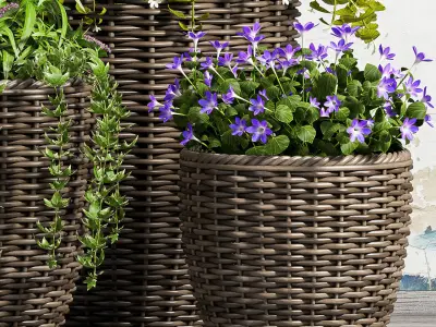 Decorative plant set-45 3D model