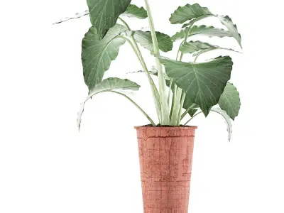Plants Collection 71 3D model