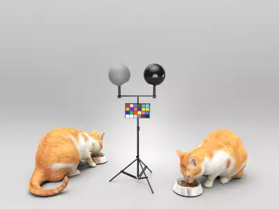 Cat with food bowl 37 Low-poly 3D model