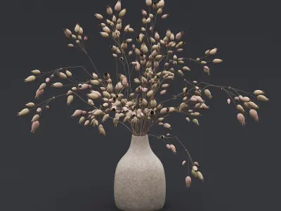 Dry Plants and Flowers Pack 3D Model Collection