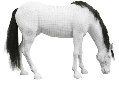 Horse grazing 3D model
