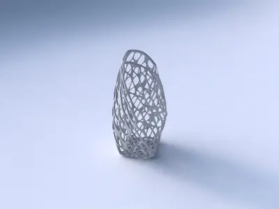 Vase twisted arc quadratic with twisted organic lattice 3D print model