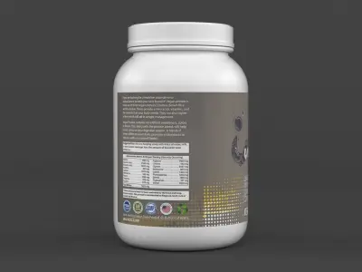 Protein Powder 3D model 170