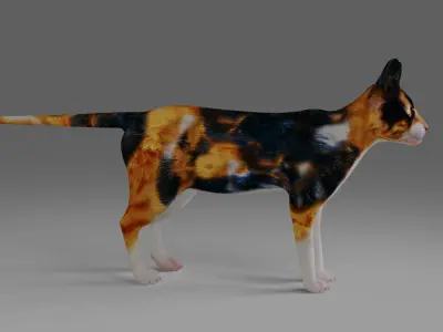 Calico Cat Rigged V4 in Blender  Low-poly 3D model