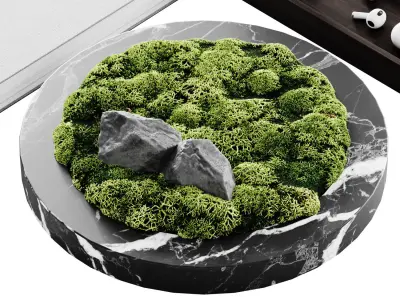 Decor set 6 marble tray 3D model