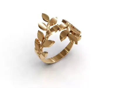 ring woman  3D print model 100