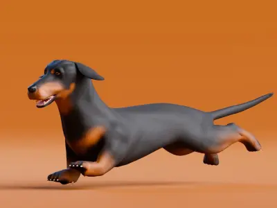 Low poly - Stylized dog - Sausage Dog Low-poly 3D model