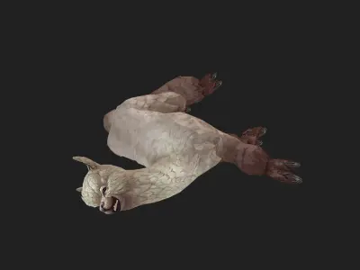 animated alpaca Low-poly 3D model