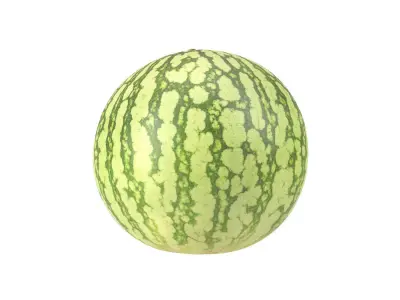 Photorealistic Watermelon 3D Scan 3D model