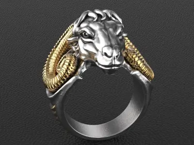 Aries ring 3D print model