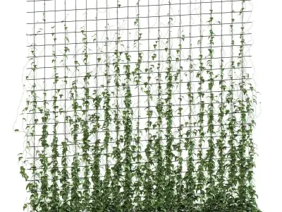 Ivy model on the grate in a long pot 3D model