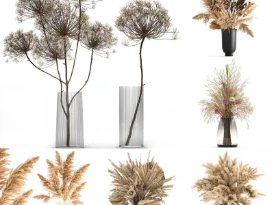 Collection of bouquets of dried flowers 30 pieces  3D model