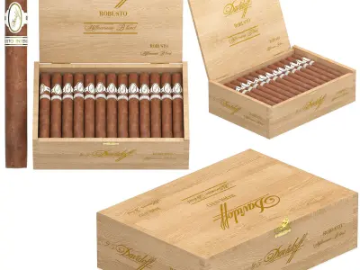 mavidoff millennium blend robusto box of 25 3D model