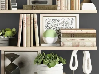 Decoration set bookshelves with cactus and plants 3D model