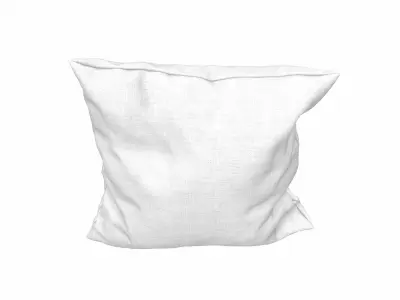 Solid Pillow 20 3D model