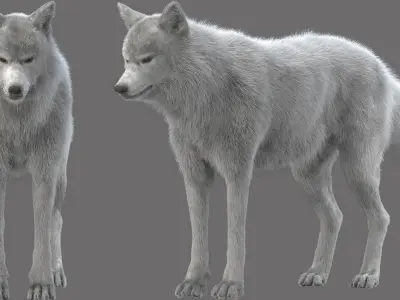 WhiteWolf 3D model