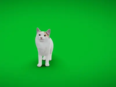 Turkish Van Domestic Cat Low-poly 3D model