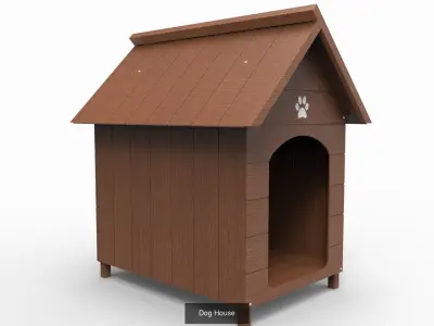 Pet Accessories Collection