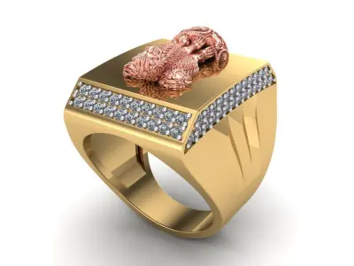 The INDIA Ashoka Ring for Man 3D print model