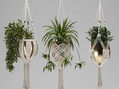 Macrame Plants Hanger 3D model