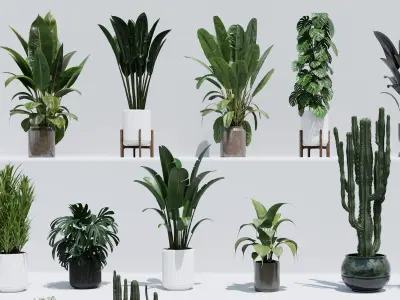 collection Indoor plant and outdoor plant pot 3D model