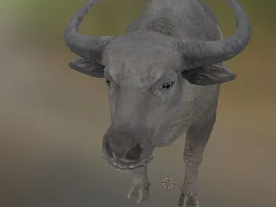 water buffalo  Low-poly 3D model