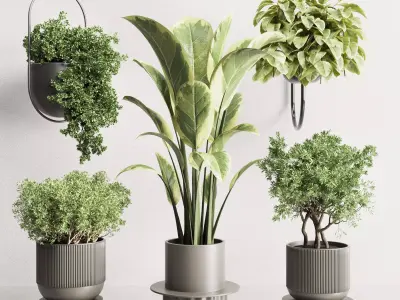 pot plant and hanging pot and wall plant collection 213 3D model