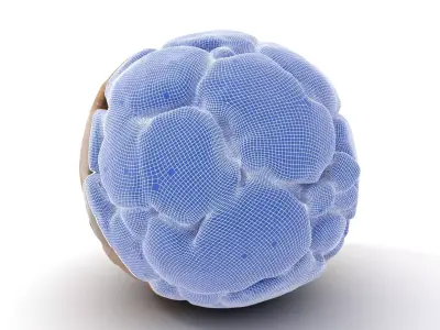 Textured Stone Surface model pack Texture